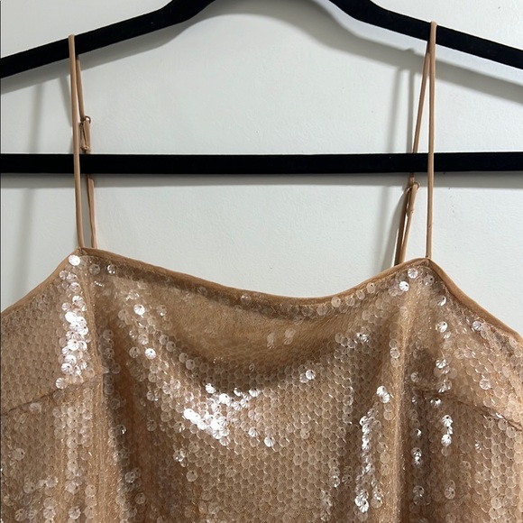 Sequin Tan Dress - Picture 3 of 6